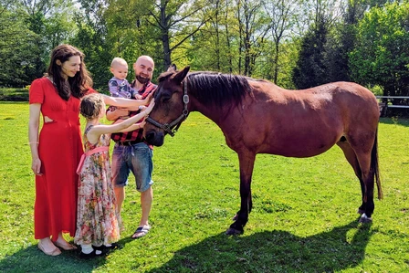 Rodzina z koniem